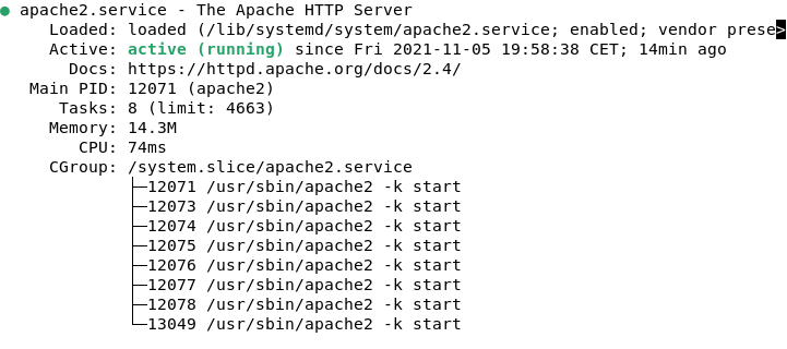 Apache Service Status